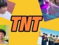 tnt最新爆料,揭秘最新热门事件内幕