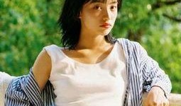 陈丹丹小说爆料大全最新,揭秘幕后故事与创作灵感